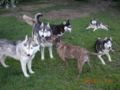 dscn1289.jpg