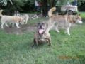 dscn1316.jpg