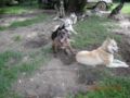 dscn1317.jpg