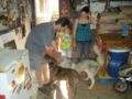 dscn1390.jpg