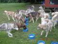 dscn1329.jpg
