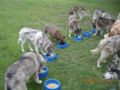 dscn1330.jpg