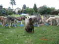 dscn1332.jpg