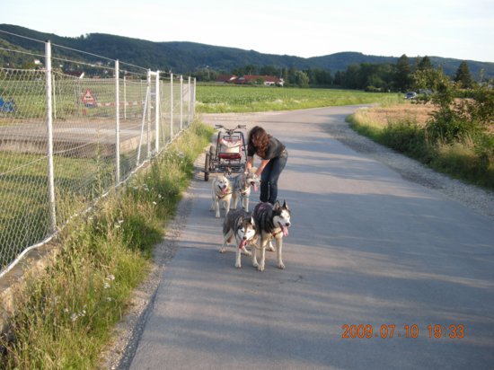 dscn1520.jpg