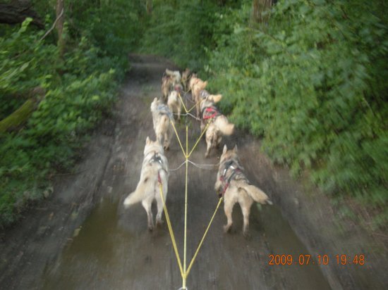 dscn1521.jpg