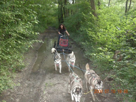 dscn1522.jpg