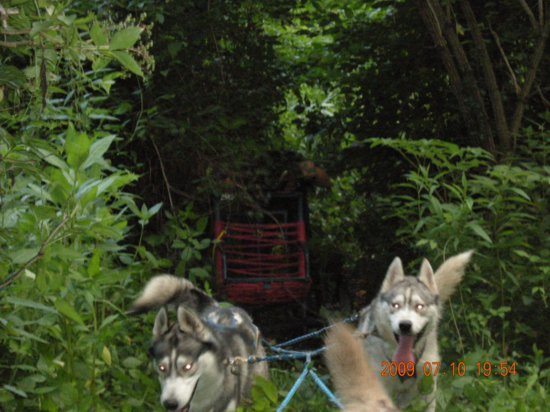 dscn1527.jpg