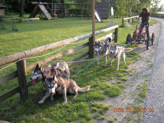 dscn1533.jpg