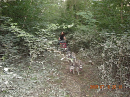 dscn1536.jpg