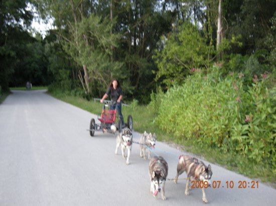 dscn1539.jpg
