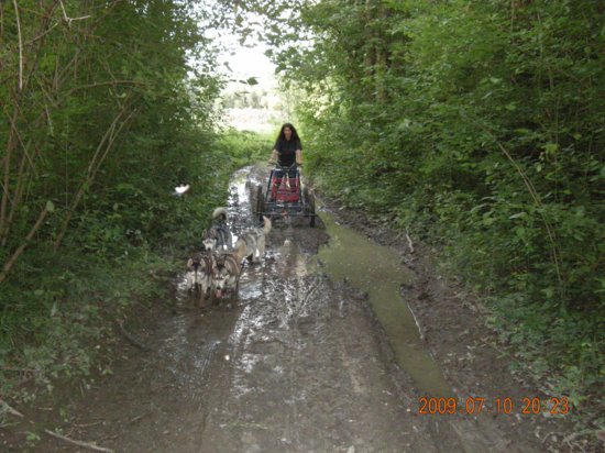 dscn1540.jpg