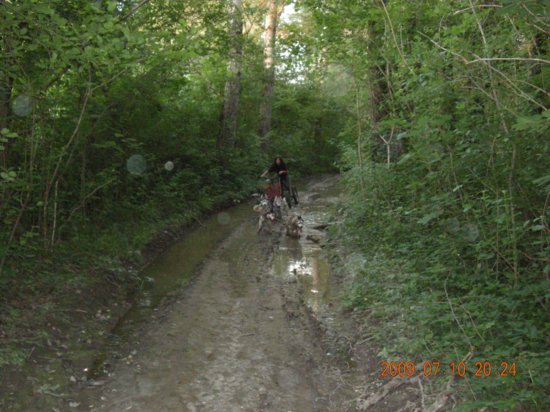 dscn1541.jpg
