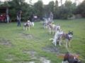 dscn1519.jpg