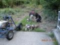 dscn1523.jpg