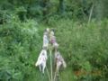 dscn1524.jpg