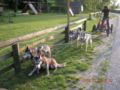 dscn1533.jpg