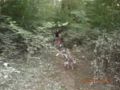 dscn1536.jpg