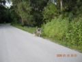 dscn1538.jpg