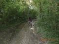 dscn1541.jpg