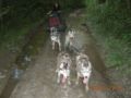 dscn1542.jpg