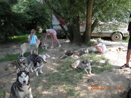 dscn1557.jpg