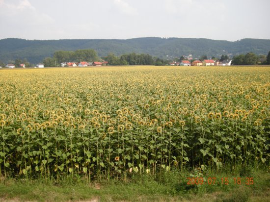 dscn1561.jpg