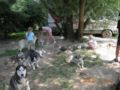 dscn1557.jpg