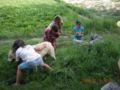 dscn1558.jpg
