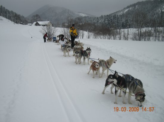 19.3.09_-_14.57.jpg