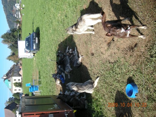 dscn1815.jpg