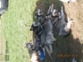 dscn1818.jpg