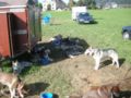 dscn1819.jpg