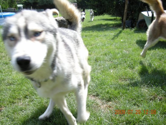 dscn1578.jpg
