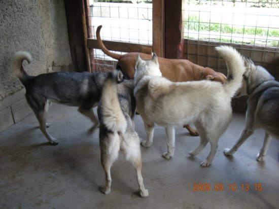 dscn1742.jpg