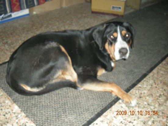 dscn1836.jpg