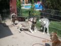 dscn1576.jpg