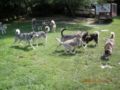 dscn1580.jpg