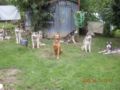 dscn1746.jpg