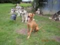 dscn1747.jpg