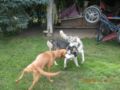 dscn1750.jpg