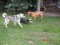 dscn1751.jpg