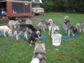 dscn1844.jpg