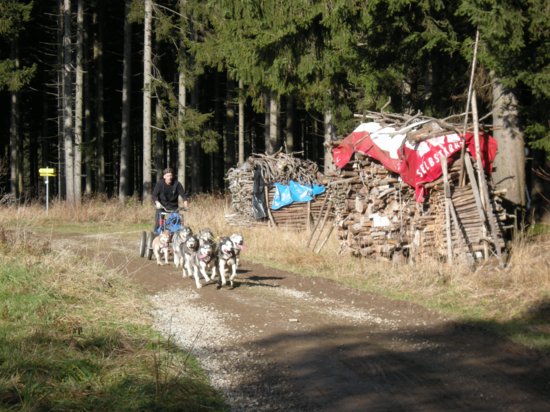 dscn1946.jpg