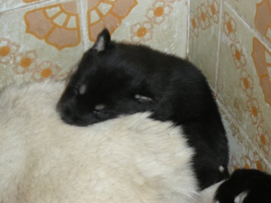 dscn1948.jpg