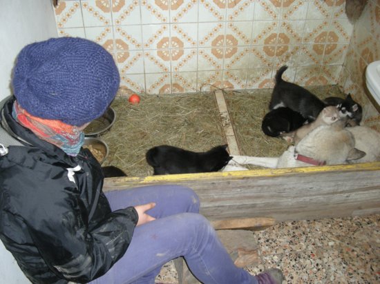 dscn1976.jpg
