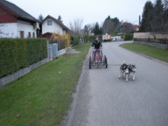dscn1986.jpg