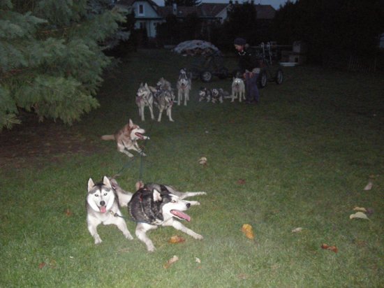 dscn2010.jpg