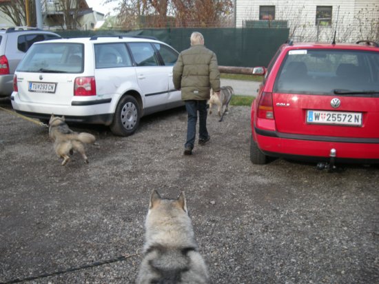 dscn2033.jpg