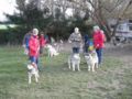 dscn2027.jpg