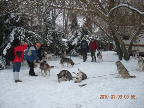 dscn2247.jpg